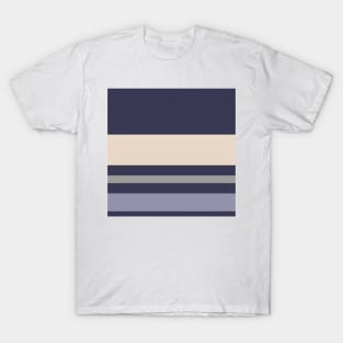 A fascinating harmony of Charcoal Grey, Bone, Grey and Gray-Blue stripes. T-Shirt